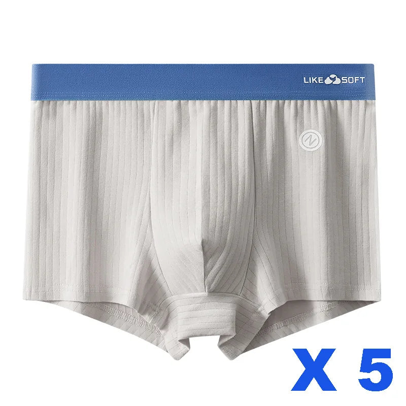 5 Pack Men's Low-Rise Boxer Briefs-Sexy Striped Stretch Comfort Underwear