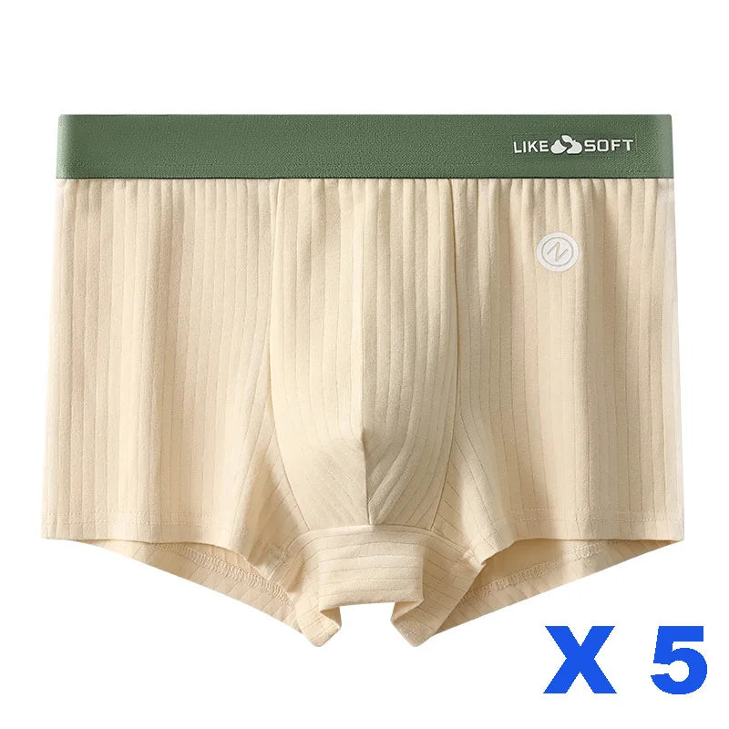 5 Pack Men's Low-Rise Boxer Briefs-Sexy Striped Stretch Comfort Underwear