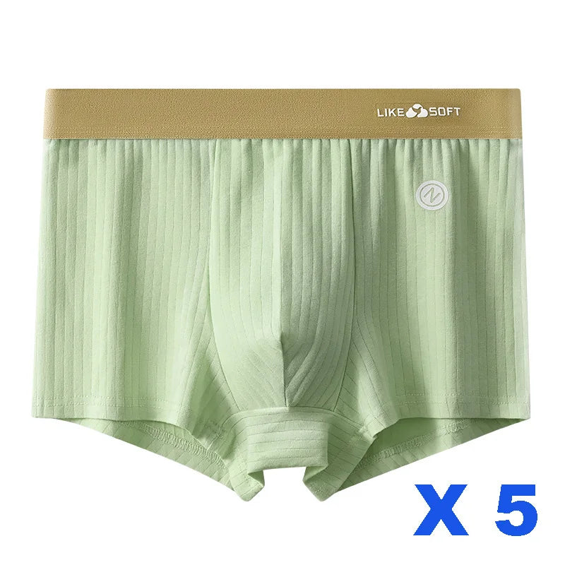 5 Pack Men's Low-Rise Boxer Briefs-Sexy Striped Stretch Comfort Underwear